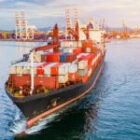 Professional Staffs and the Future of Road Logistics: Addressing Challenges Across Diverse Sectors Catered